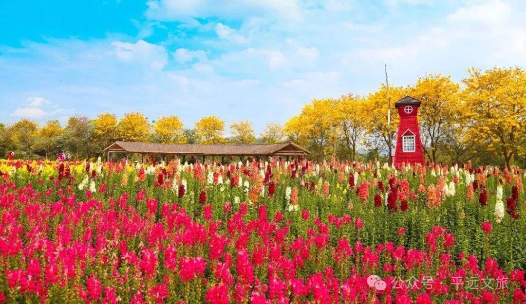 竞猜有奖！平远县“盛世豪庭杯”（贺岁杯）足球赛2月8日激情开赛