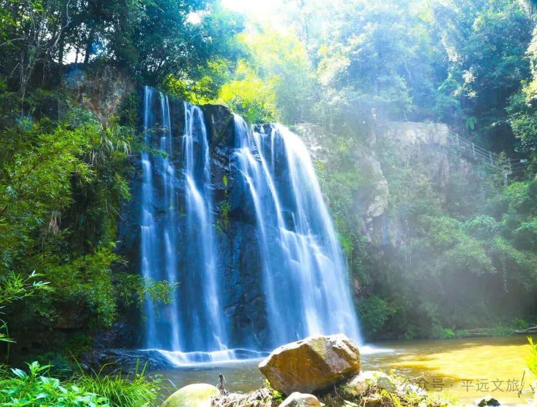 竞猜有奖！平远县“盛世豪庭杯”（贺岁杯）足球赛2月8日激情开赛